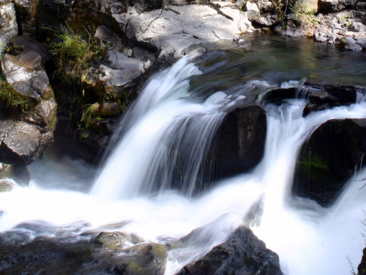 Short Story: A Most Curious Cat&nbsp;Burglar